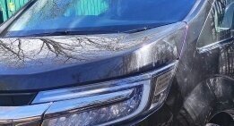 Honda Stepwgn IV, 2020 год, 2 685 000 рублей, 7 фотография