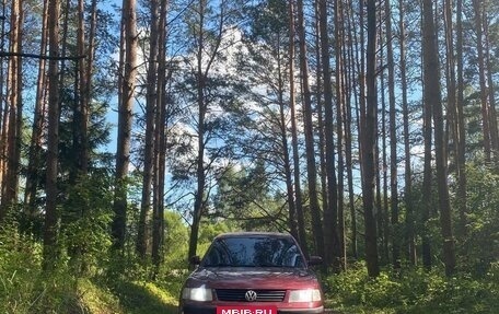 Volkswagen Passat B5+ рестайлинг, 1998 год, 320 000 рублей, 3 фотография