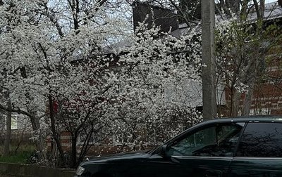 Toyota Mark II VIII (X100), 1994 год, 700 000 рублей, 1 фотография