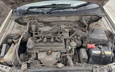 Nissan Sunny B15, 2002 год, 320 000 рублей, 1 фотография