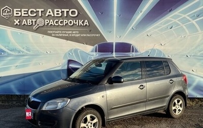 Skoda Fabia II, 2009 год, 360 000 рублей, 1 фотография
