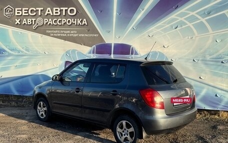 Skoda Fabia II, 2009 год, 360 000 рублей, 3 фотография