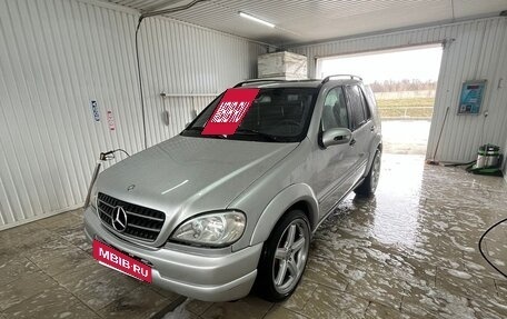 Mercedes-Benz M-Класс AMG, 2001 год, 810 000 рублей, 4 фотография