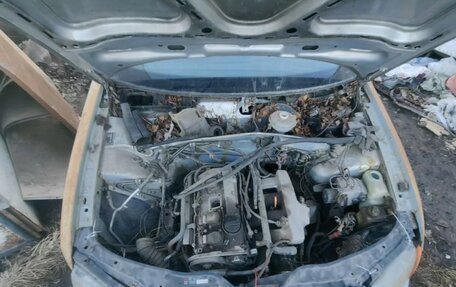 Volkswagen Passat B5+ рестайлинг, 1997 год, 65 000 рублей, 6 фотография