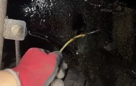 Ford Focus IV, 2001 год, 600 000 рублей, 26 фотография