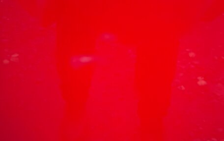 Daihatsu Taft, 2020 год, 1 500 000 рублей, 5 фотография