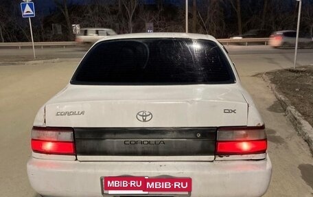 Toyota Corolla, 1995 год, 115 000 рублей, 5 фотография