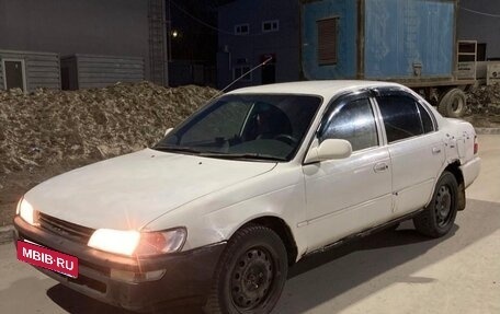 Toyota Corolla, 1995 год, 115 000 рублей, 2 фотография