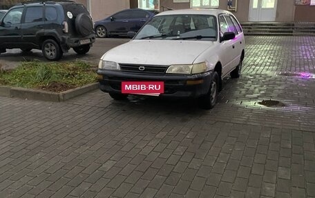 Toyota Corolla, 2001 год, 235 000 рублей, 3 фотография