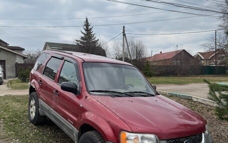 Ford Escape II, 2001 год, 220 000 рублей, 1 фотография