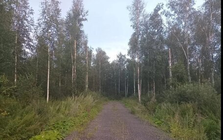 Audi A6 allroad, 2008 год, 1 400 000 рублей, 2 фотография