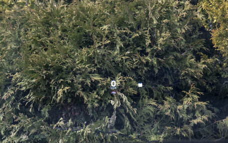 Haval F7x, 2026 год, 3 799 000 рублей, 20 фотография