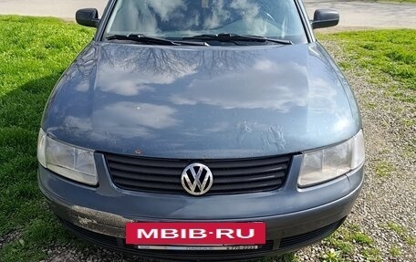 Volkswagen Passat B5+ рестайлинг, 2000 год, 175 000 рублей, 5 фотография