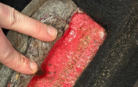 Ford C-MAX I рестайлинг, 2005 год, 650 000 рублей, 34 фотография