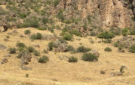 Ford Kuga III, 2019 год, 1 750 000 рублей, 10 фотография