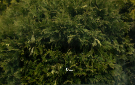 Genesis G70 I, 2021 год, 3 670 000 рублей, 17 фотография