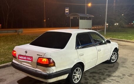 Toyota Corolla, 1995 год, 135 000 рублей, 5 фотография