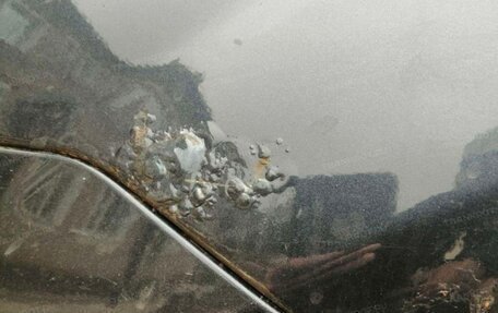 Ford Focus II рестайлинг, 2007 год, 302 000 рублей, 11 фотография