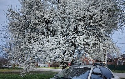 ЗАЗ Chance, 2011 год, 220 000 рублей, 1 фотография