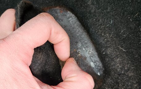 Ford Focus II рестайлинг, 2005 год, 285 000 рублей, 11 фотография