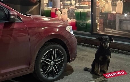 Volkswagen Polo VI (EU Market), 2022 год, 1 800 000 рублей, 7 фотография