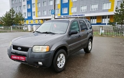 Ford Escape II, 2002 год, 420 000 рублей, 1 фотография