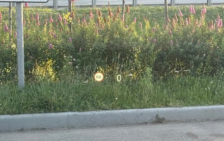 BMW X5, 2016 год, 3 650 000 рублей, 7 фотография