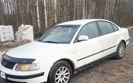 Volkswagen Passat B5+ рестайлинг, 1999 год, 185 000 рублей, 6 фотография