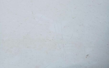 Nissan Qashqai, 2013 год, 717 250 рублей, 8 фотография