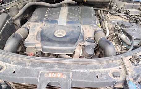 Mercedes-Benz M-Класс, 2006 год, 1 100 000 рублей, 28 фотография