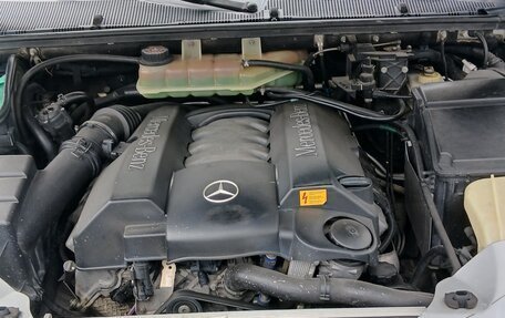 Mercedes-Benz M-Класс, 2000 год, 850 000 рублей, 3 фотография