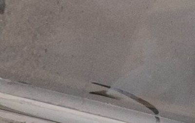 BMW 3 серия, 1984 год, 250 000 рублей, 1 фотография