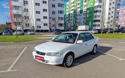 Toyota Corolla, 1999 год, 320 000 рублей, 1 фотография