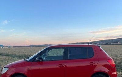 Skoda Fabia II, 2009 год, 270 000 рублей, 1 фотография