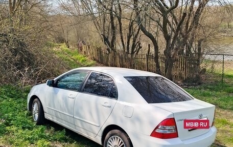 Toyota Corolla, 2003 год, 550 000 рублей, 2 фотография