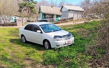 Toyota Corolla, 2003 год, 550 000 рублей, 6 фотография