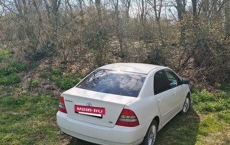 Toyota Corolla, 2003 год, 550 000 рублей, 5 фотография