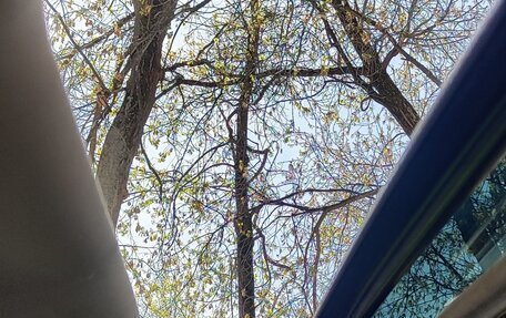 Hyundai Grand Starex Grand Starex I рестайлинг 2, 2008 год, 1 000 000 рублей, 23 фотография