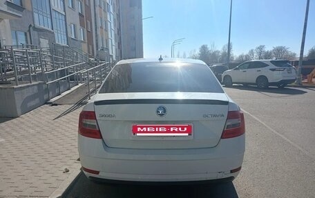 Skoda Octavia, 2018 год, 800 000 рублей, 6 фотография