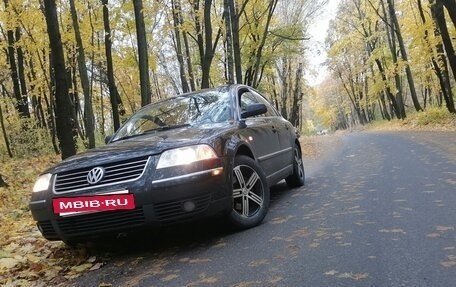 Volkswagen Passat B5+ рестайлинг, 2002 год, 525 000 рублей, 14 фотография