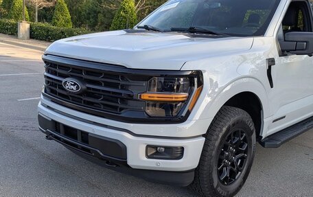 Ford F-150, 2024 год, 4 450 000 рублей, 1 фотография