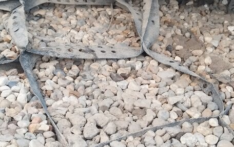 Citroen Berlingo II рестайлинг, 2007 год, 470 000 рублей, 9 фотография