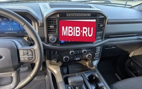 Ford F-150, 2024 год, 4 450 000 рублей, 13 фотография