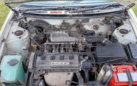 Toyota Corolla, 1995 год, 280 000 рублей, 6 фотография