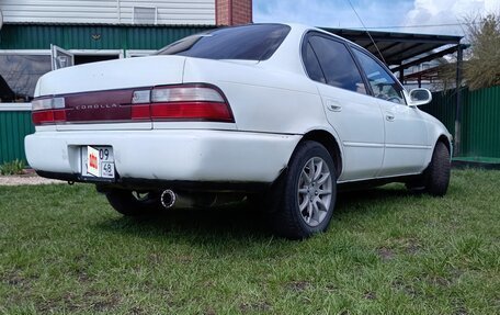 Toyota Corolla, 1995 год, 280 000 рублей, 13 фотография