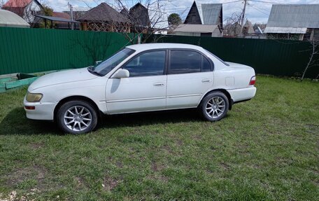 Toyota Corolla, 1995 год, 280 000 рублей, 37 фотография