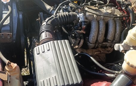 Great Wall Safe, 2008 год, 255 000 рублей, 10 фотография