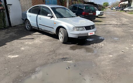 Volkswagen Passat B5+ рестайлинг, 1997 год, 115 000 рублей, 4 фотография