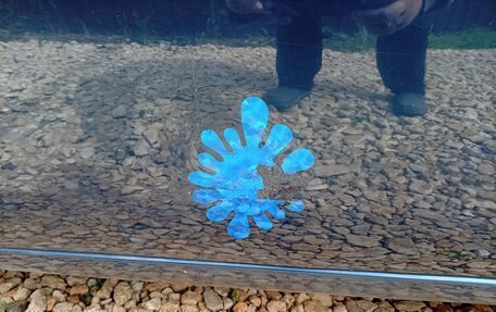 Chery Tiggo (T11), 2008 год, 460 000 рублей, 8 фотография