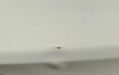 KIA Cerato III, 2014 год, 979 000 рублей, 8 фотография